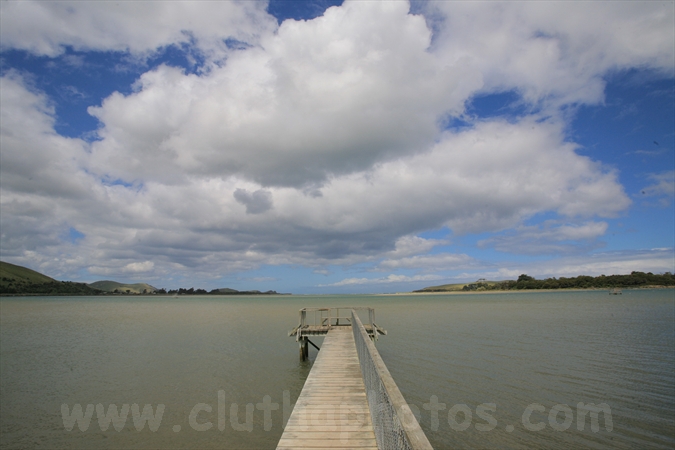 pier,Pounawea,The Catlins,South Otago,Clutha District