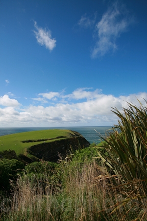 Penguin Bay,The Catlins,South Otago,Clutha District