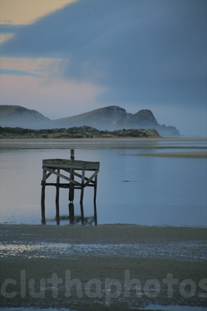 dolphin,Pounawea,The Catlins,South Otago,Clutha District