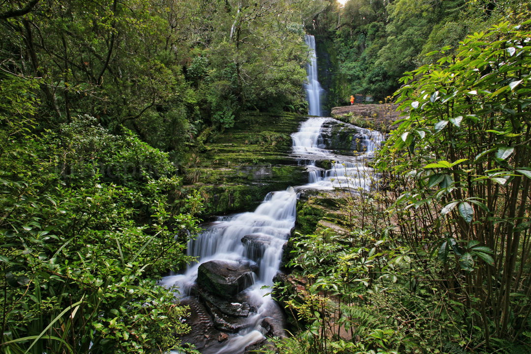 photo, catlins, new zealand, waterfall, bush, mclean falls,
