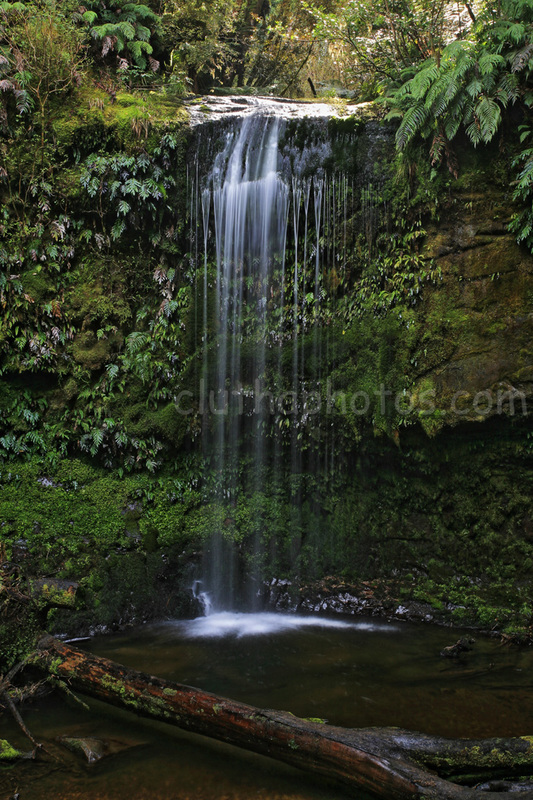 photo, catlins, new zealand, waterfall, bush, koropuku falls,