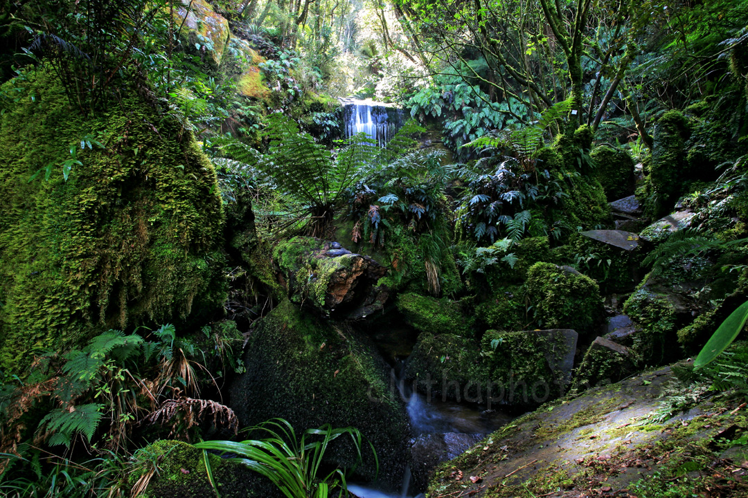 photo, catlins, new zealand, waterfall, bush, koropuku falls,
