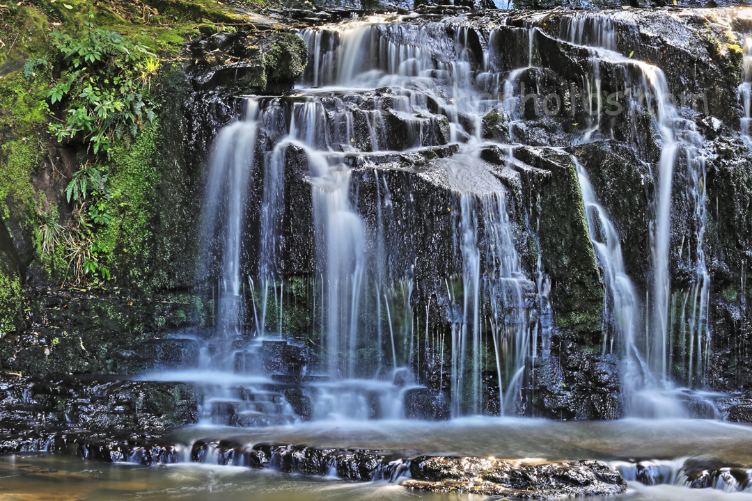 photo, catlins, new zealand, waterfall, bush, purakaunui falls,