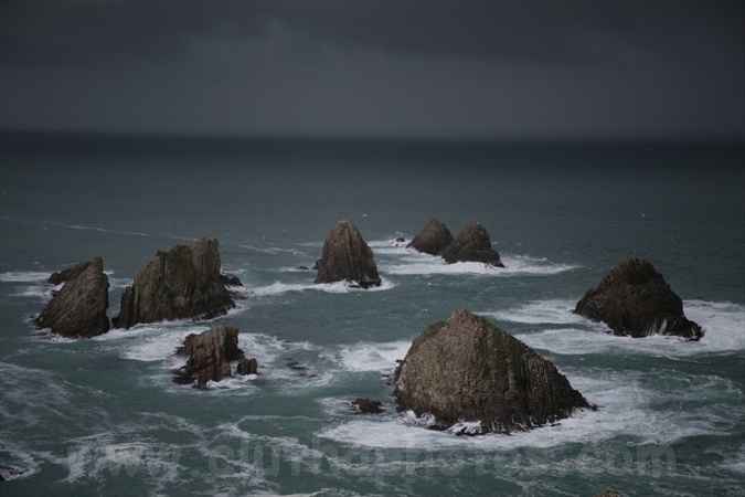 Nugget Point,The Catlins,South Otago,Clutha District