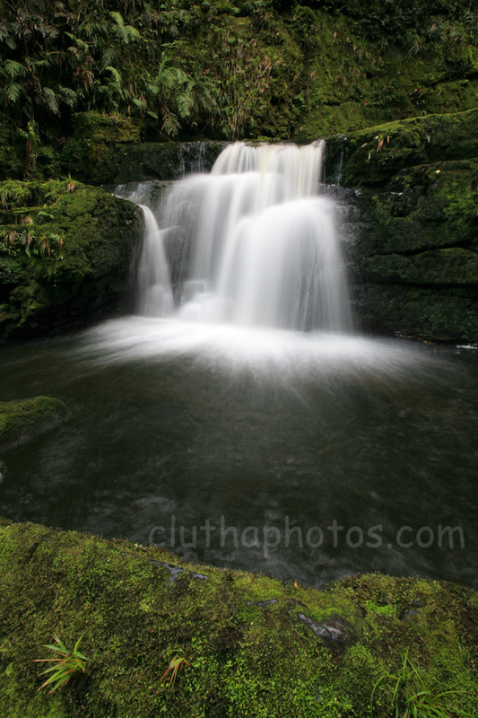 photo, catlins, new zealand, waterfall, bush, mclean falls,