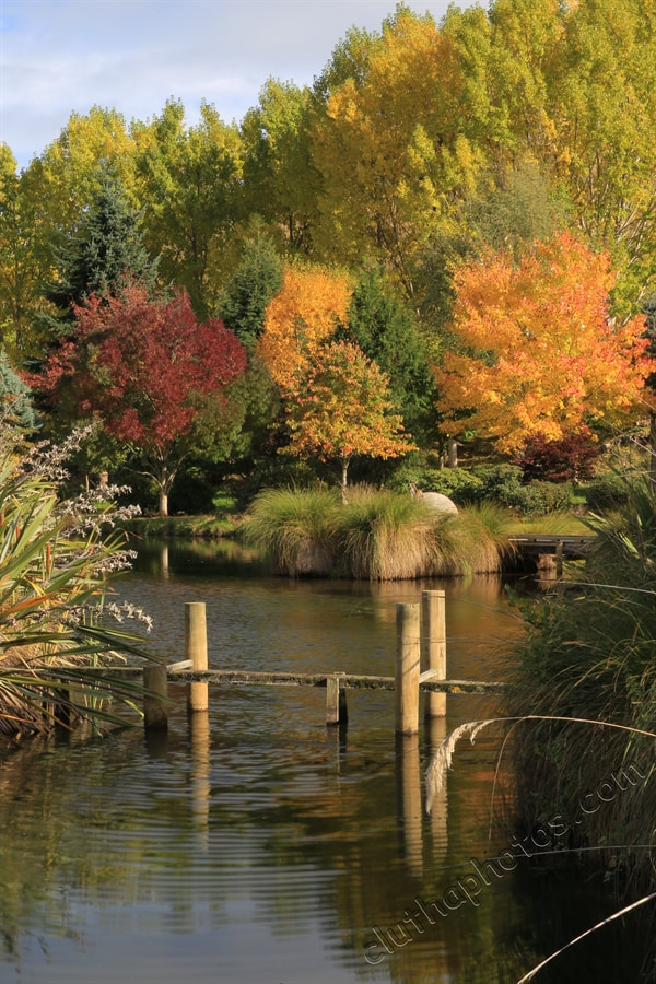 Picture, photograph, photo, Lawrence, South Otago, Clutha District, wetlands, autumn colours